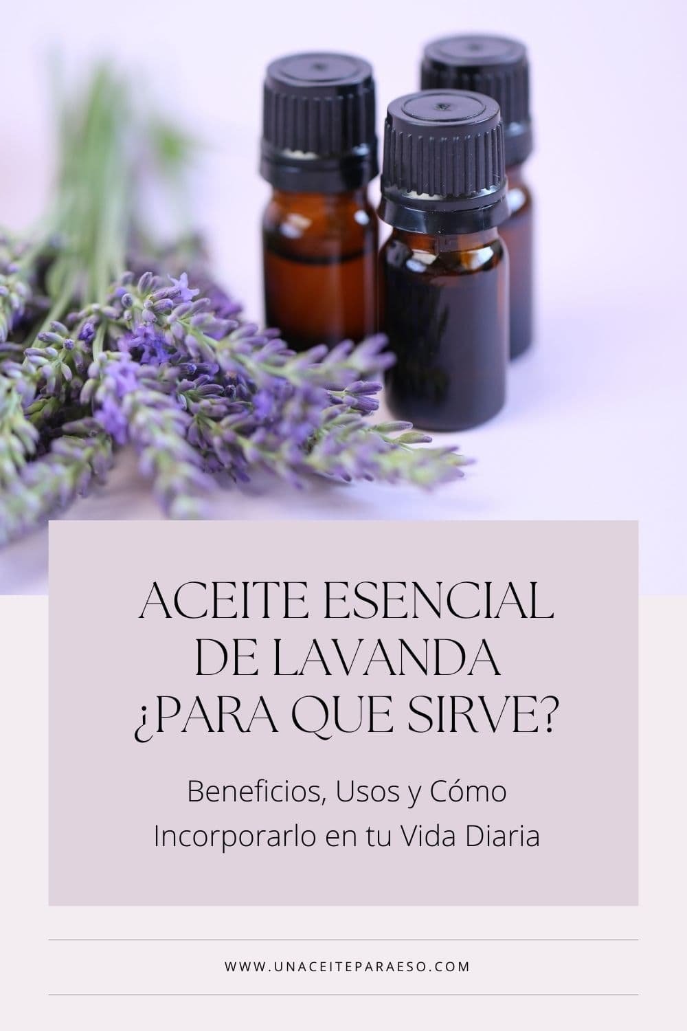 aceite esencial de lavanda