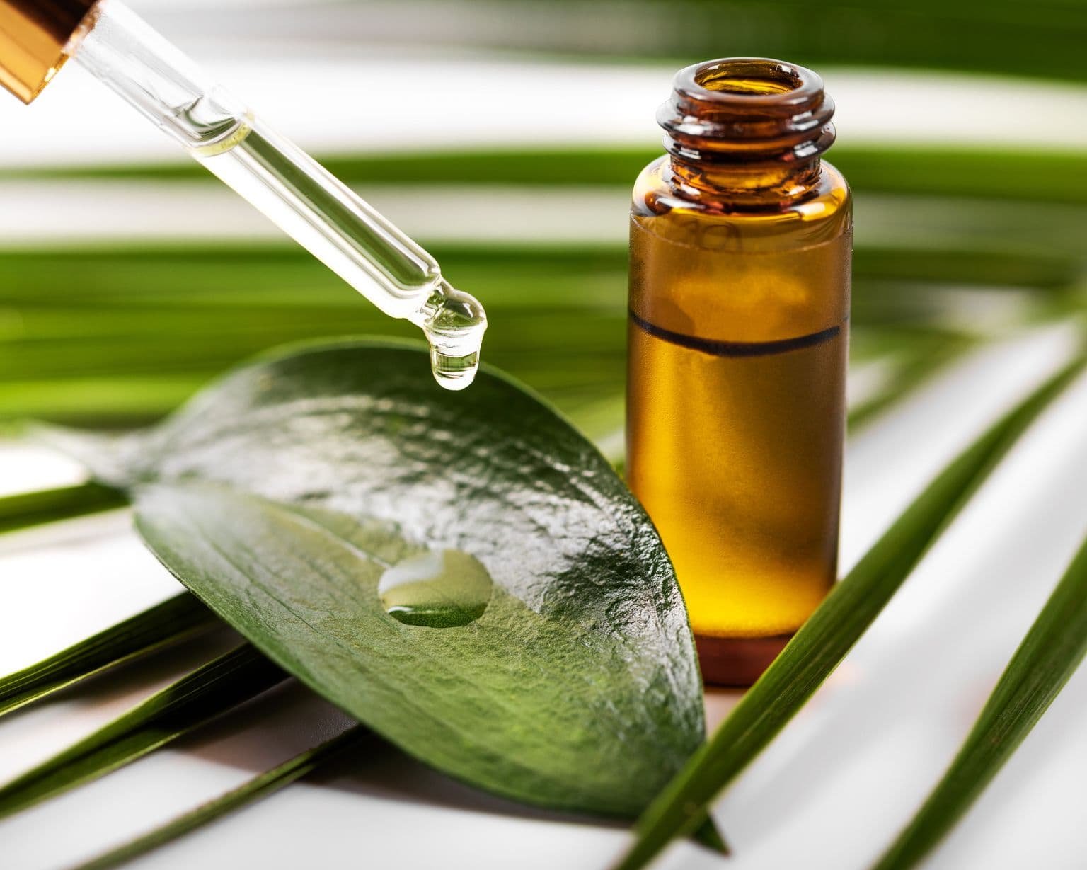 Aceite de arbol de te para que sirve
